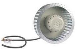 MOTOTURBINE RE-31P-4DK-4I-3L