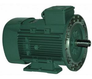 Moteurs électriques à pattes