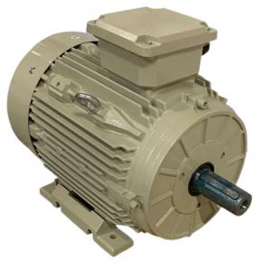 Moteurs électriques à pattes