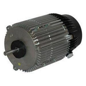 Moteurs électriques nus